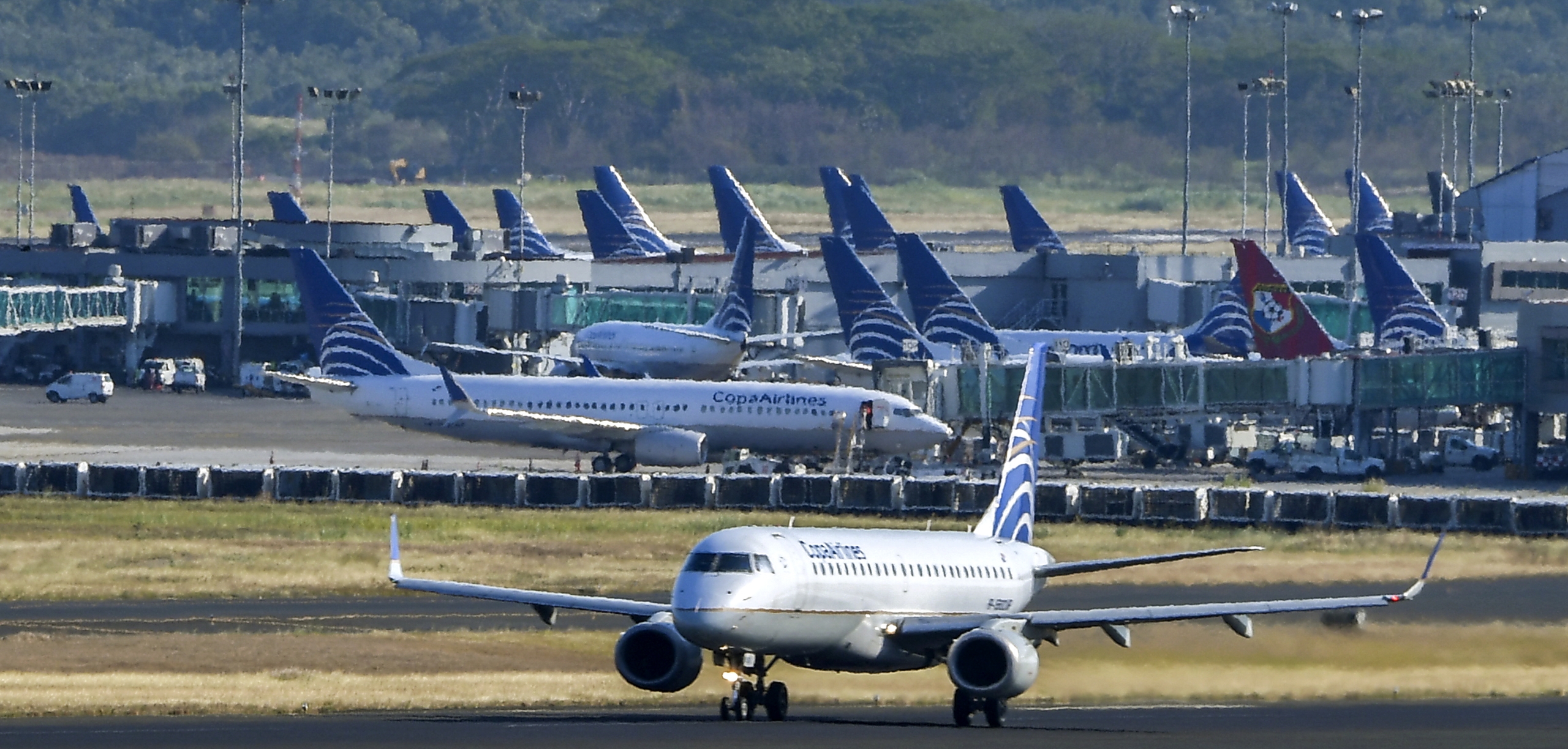 Copa Airlines reanudó los vuelos a Caracas a partir del 13 de enero